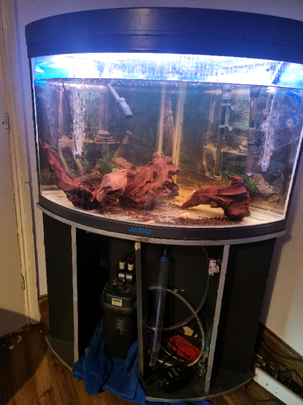 jebo fish tank